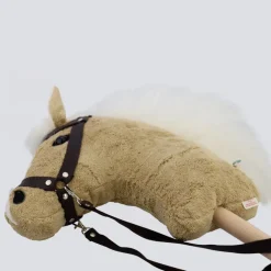 Bio-Steckenpferd Mini Zimtstern