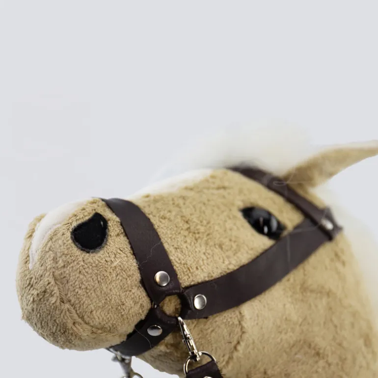 Bio-Steckenpferd Mini Zimtstern