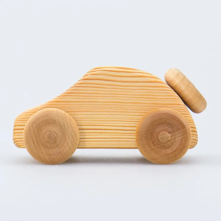 Debresk - kleiner Holz Käfer