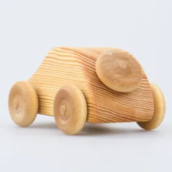 Debresk - kleiner Holz Käfer