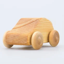 Debresk - kleiner Holz Käfer