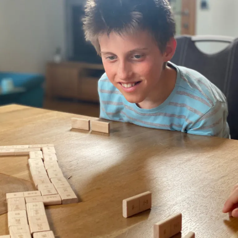 Didi Toys Dominosteine Malrechnen bis 10