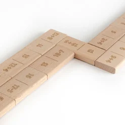 Didi Toys Mathematische Dominosteine +/- bis 20