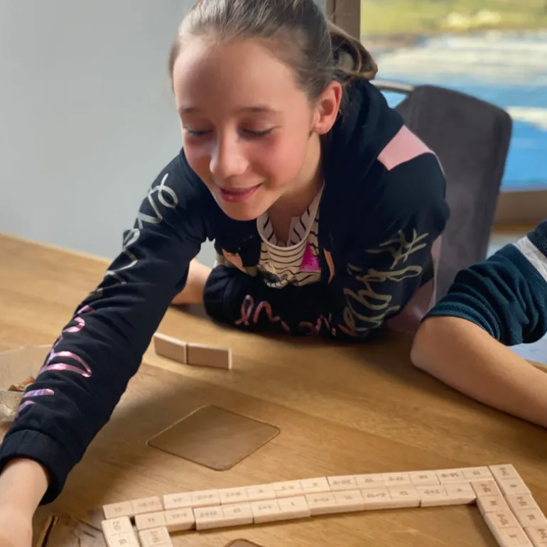 Didi Toys Mathematische Dominosteine +/- bis 20