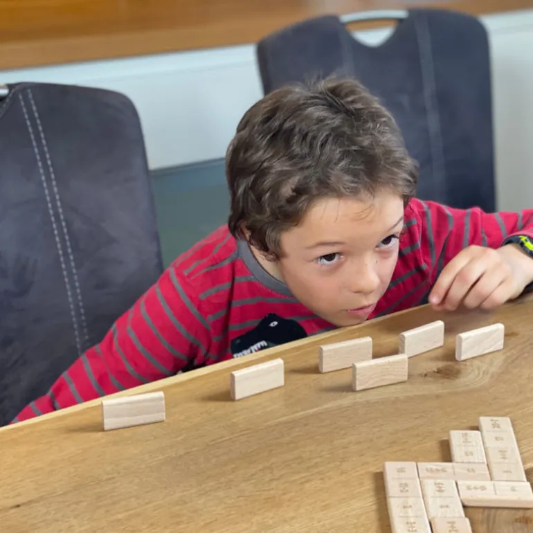 Didi Toys Mathematische Dominosteine +/- bis 10