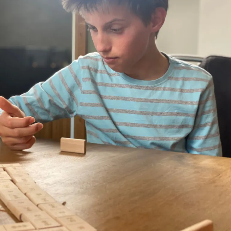 Didi Toys Mathematische Dominosteine +/- bis 10