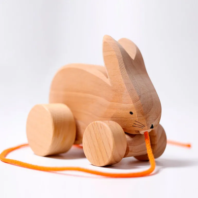 Grimm's Hoppelhase Hans
