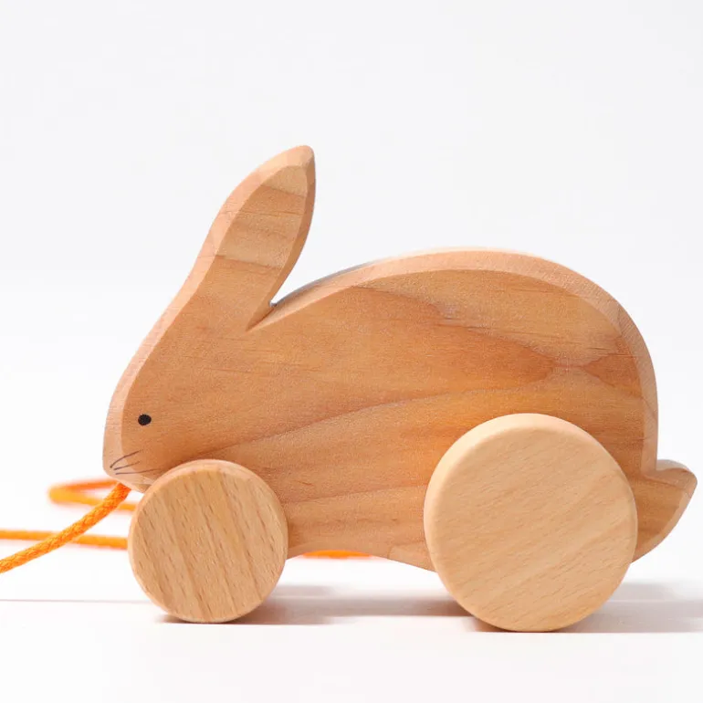 Grimm's Hoppelhase Hans