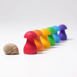 Grimm's Regenbogen Pilze