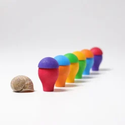 Grimm's Regenbogen Pilze