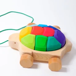 Grimm's Regenbogen Schildkröte