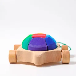 Grimm's Regenbogen Schildkröte
