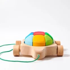 Grimm's Regenbogen Schildkröte