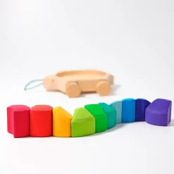 Grimm's Regenbogen Schildkröte