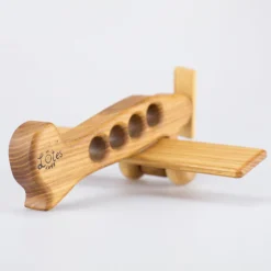 Linienflugzeug aus Holz