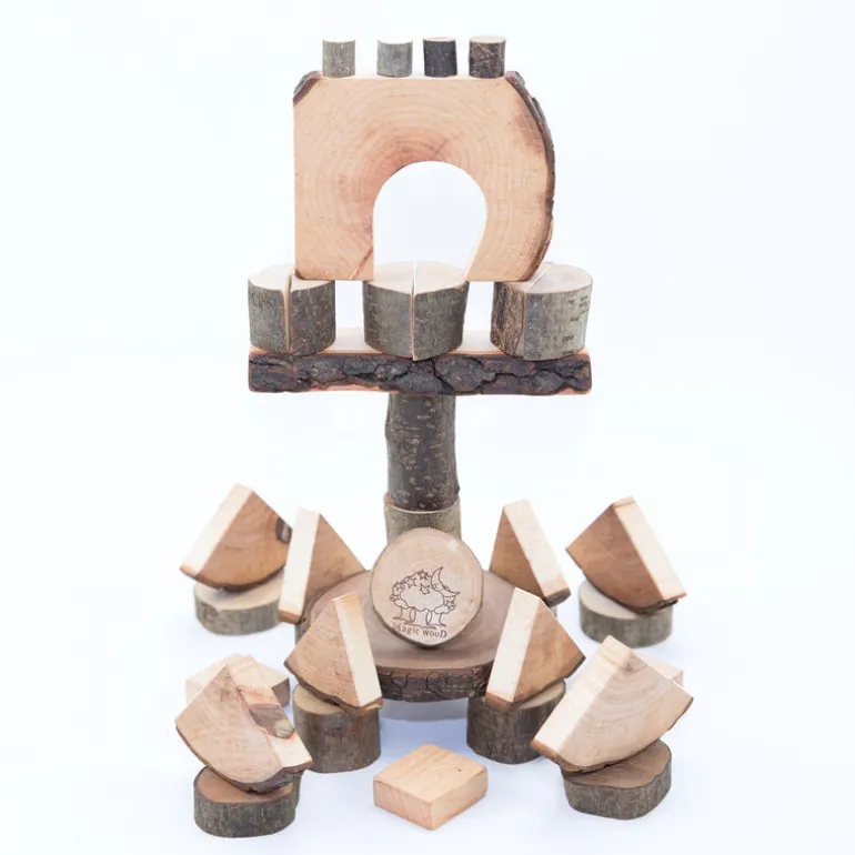 Magic Wood Creative Blocks