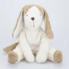 Schlenkertier Hund - 40cm