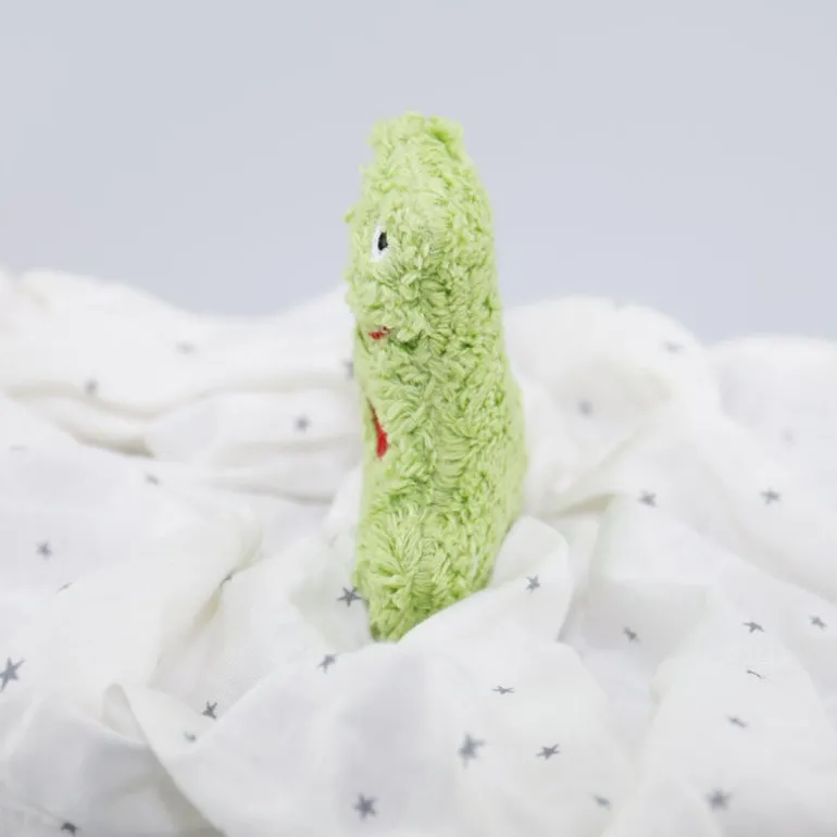 Schmusetuch Frosch